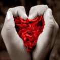 O Amor...